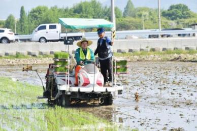 전남 담양에서 올해 첫 모내기 