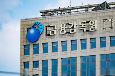 금감원, 21대 대선 정치테마주 특별단속반 확대