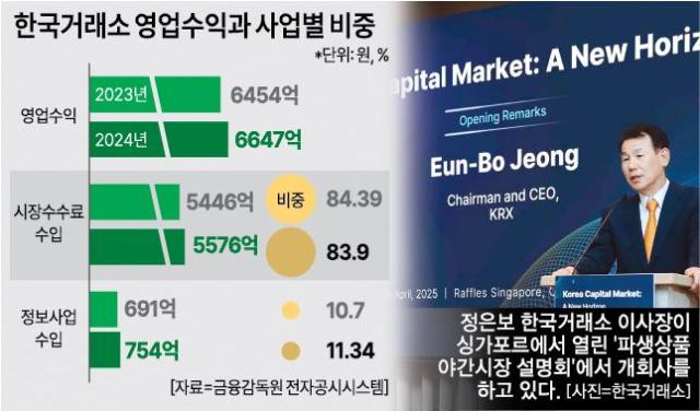 자료금융감독원 전자공시시스템
