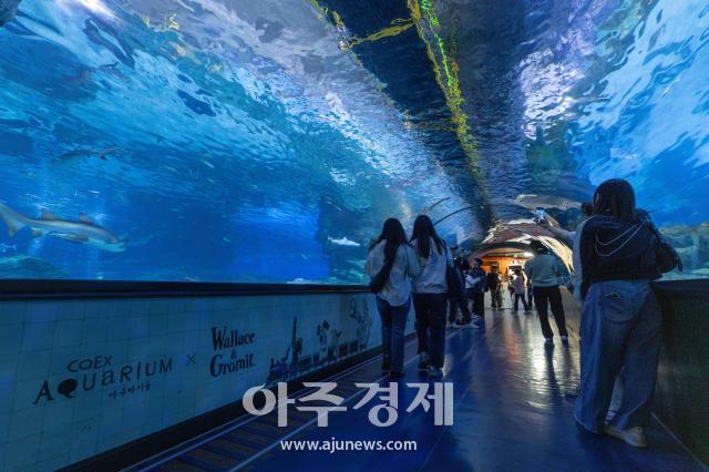 사진유대길 기자 dbeorlf123ajunewscom