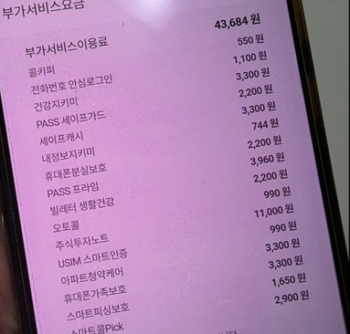 사진SNS