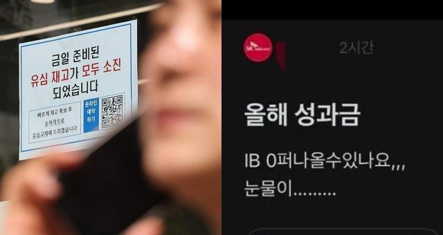 사진연합뉴스 블라인드 캡처