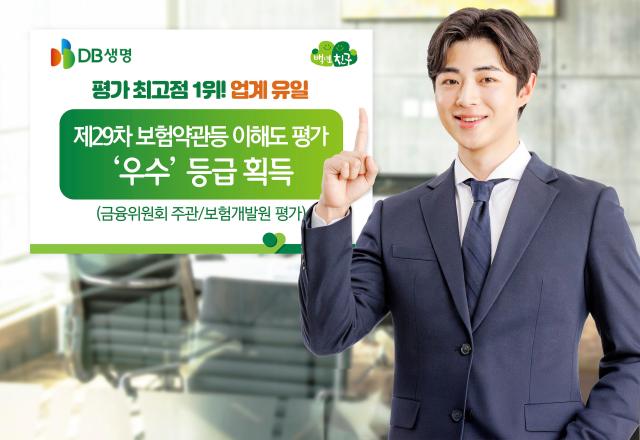 DB생명이 제29차 보험약관등 이해도 평가에서 업계 유일 우수 등급을 획득했다 사진DB생명