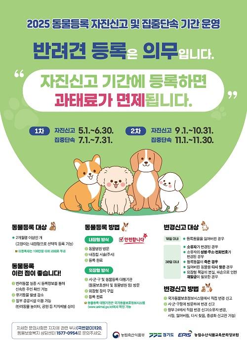 사진경기도