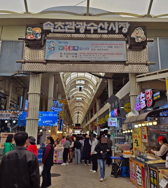 속초관광수산시장 입구 사진기수정 기자