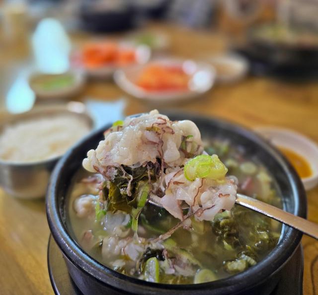 속초문어국밥에서 맛볼 수 있는 문어국밥 사진기수정 기자