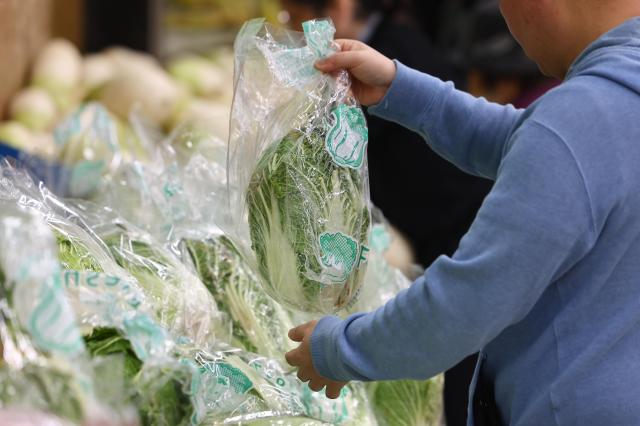 韩国5月农产品价格整体回落 萝卜大蒜逆势上涨
