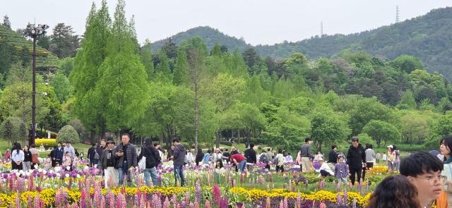 5월 1일부터 시작된 이번 연휴 동안 무려 33만 명의 관람객이 순천만국가정원을 방문 했다 사진박기현 기자