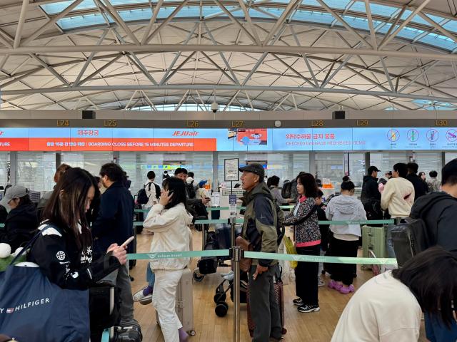 Quầy làm thủ tục của hãng Jeju Air tại Nhà ga số 1 T1 Sân bay quốc tế Incheon ẢnhHoàng Phương Ly