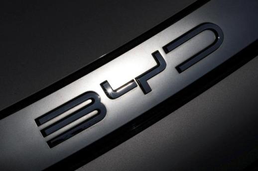BYDs compact SUVs top imported EV sales, but why are they hardly seen on the streets?