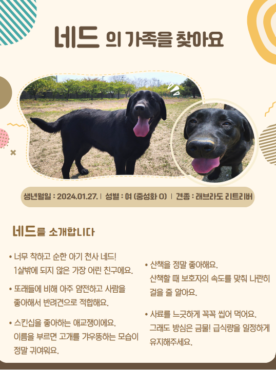 사진관세청