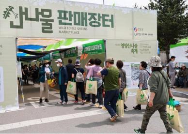 경북 영양 산나물 먹거리 한마당...산불 피해에서 희망으로