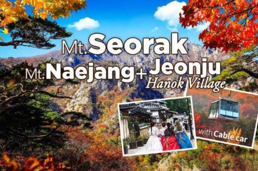 Tour đi bộ đường dài và trekking tại Hàn Quốc được du khách nước ngoài ưa thích…Doanh số ↑120% 