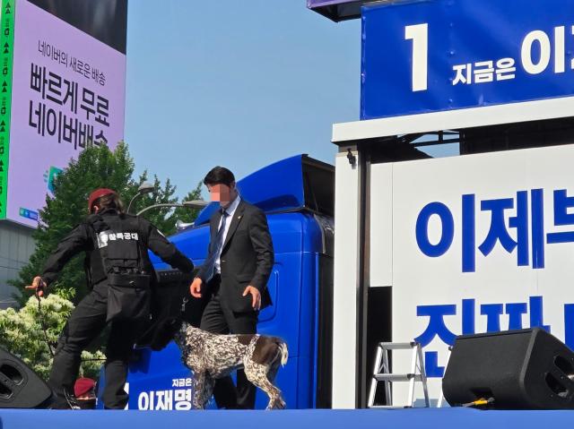이재명 더불어민주당 대선 후보의 출정식이 12일 서울 광화문 청계광장에서 열린 가운데 경찰특공대와 탐지견이 무대 위 폭발물을 점검하고 있다 사진김지윤 기자