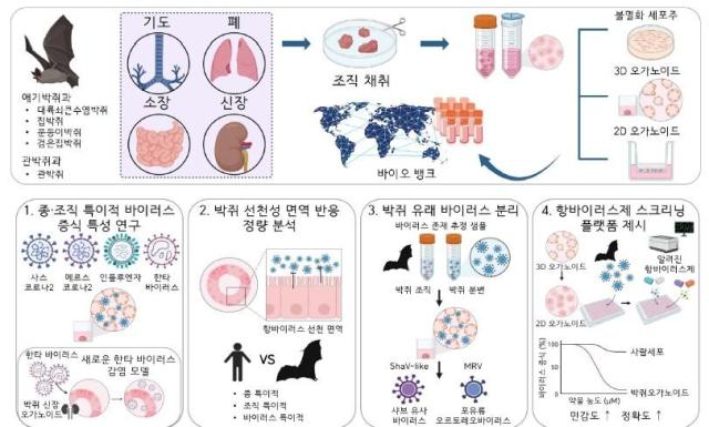 사진기초과학연구원