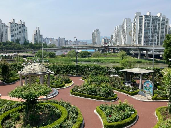 지난 14일 중랑장미카페 루프탑에서 내려다 본 장미정원과 중랑천 사진안수교 기자