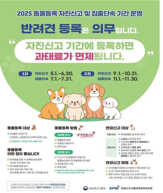 사진안성시