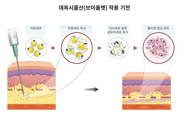 사진대웅제약
