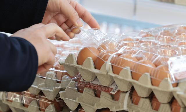 Poultry imports from Brazil suspended over bird flu concerns
