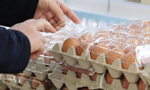 Poultry imports from Brazil suspended over bird flu concerns