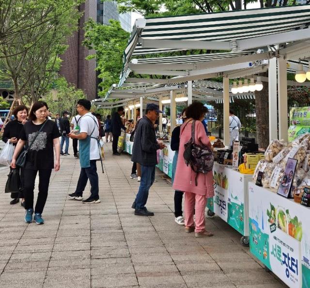 영천시는 지역 우수 농특산물의 홍보 및 판매 활성화를 위해 지난17일부터 18일까지 2일 간 서울시청 앞 ‘책 읽는 서울광장’에서 지역 농특산물 직거래 판매행사를 실시했다 사진영천시