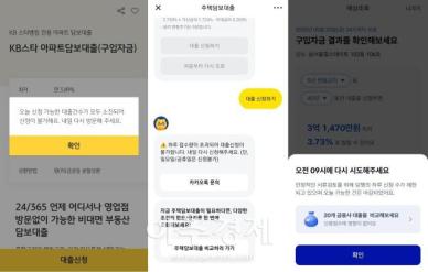 [3단계 스트레스 DSR 미리보기]마감·불가·소진 DSR 공개되자, 은행 앱 접속 폭주
