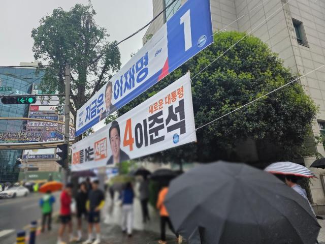 사진신진영 기자