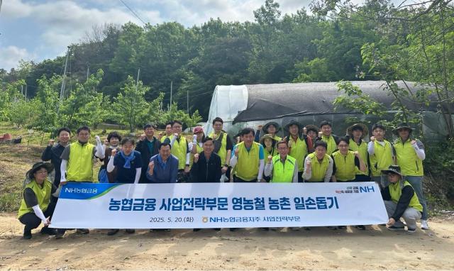 NH농협금융지주는 지난 20일 충북 음성군에서 황종연 사업전략부문 부사장앞줄 왼쪽에서 다섯 번째과 직원들이 복숭아 농가를 찾아 농번기 일손돕기를 실시했다고 밝혔다 사진농협금융

