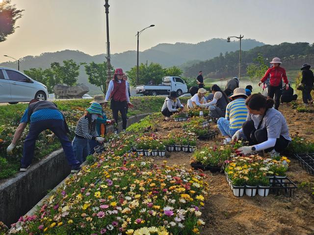 성주군여성단체협의회, 꽃 모종 식재 봉사 활동 실시