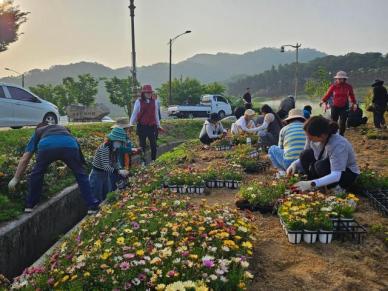 성주군여성단체협의회, 꽃 모종 식재 봉사 활동 실시