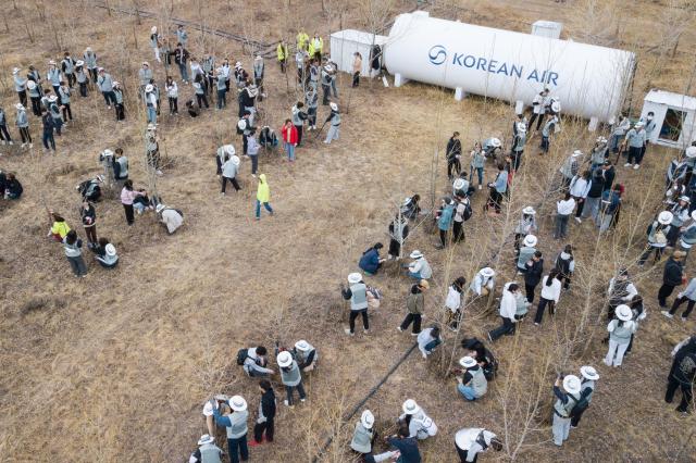Korean Air, Asiana join hands for forestation project in Mongolia