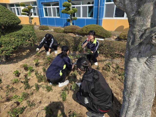 고흥군은 관내 학생4-H회 소속 256명 회이 화단 및 텃밭 채소를 가꾸고 있다 사진고흥군