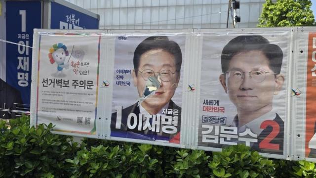 사진연합뉴스