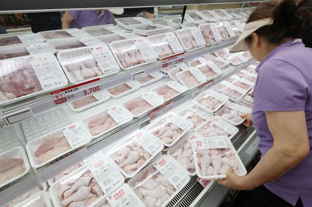禽流感冲击巴西产进口鸡肉 韩国加工品价格短期上扬