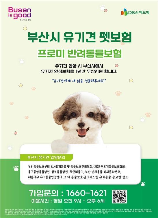 A brochure Courtesy of Busan