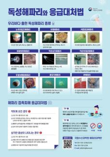 바다 불청객 해파리 피해 막아라…해수부, 방지대책 시행