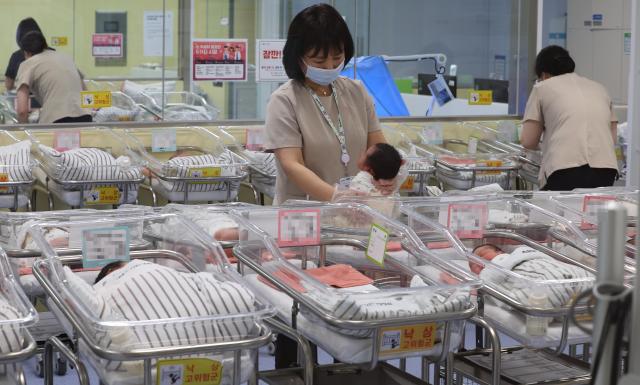 Number of newborns rises for 9th consecutive month
