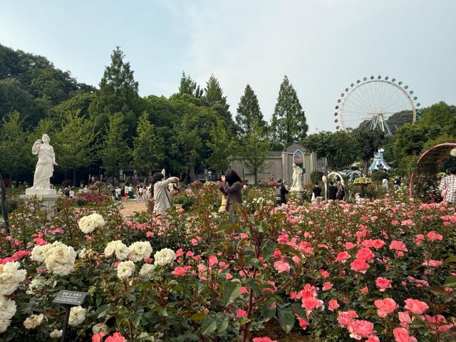 비너스원