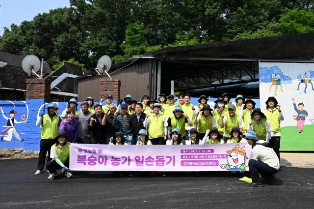 NH농협손해보험이 지난 29일 경기 이천 소재 복숭아 농가에서 일손 돕기 활동을 진행했다 사진NH농협손해보험
