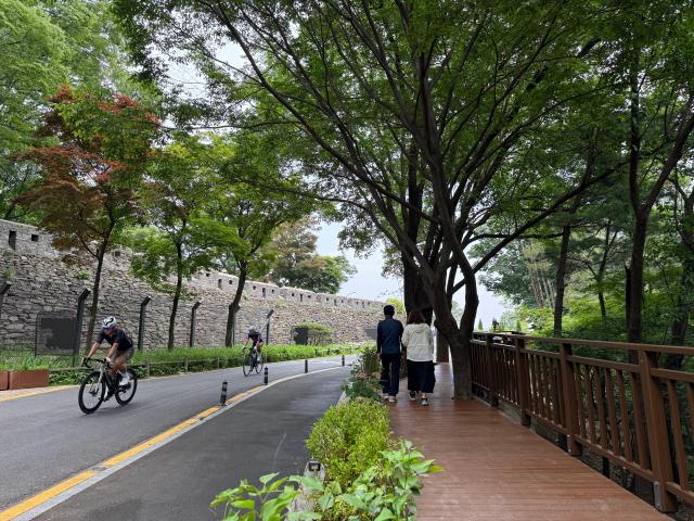 남산 자전거길 사진서울시