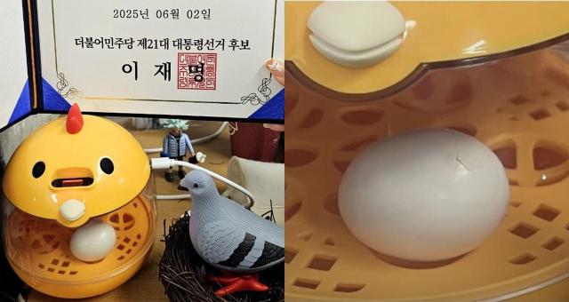 사진온라인 커뮤니티 캡처