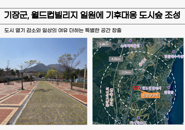 기장군이 도시숲 조성을 주친하고 있는 월드컵빌리지 일원 부지사진기장군