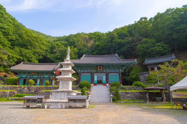 사진경기관광공사