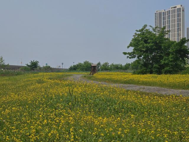 사진iH