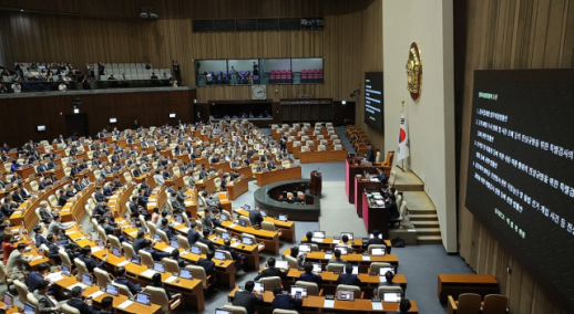 National Assembly passes bills for independent probes into ex-president and former first lady