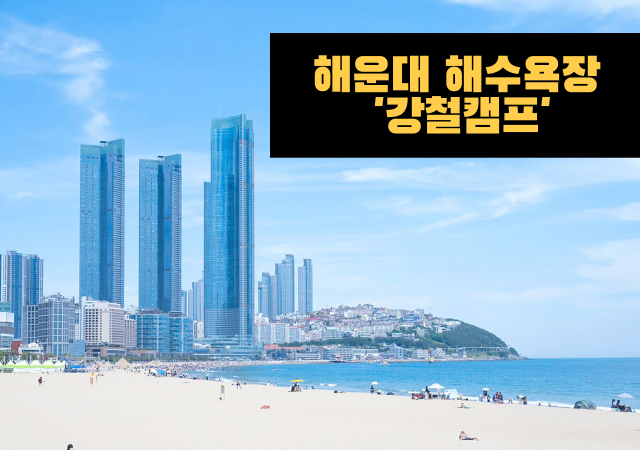 그래픽박연진 기자