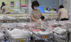Seouls birth and marriage rates climb for a year: Data