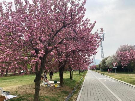 사진경륜경정총괄본부