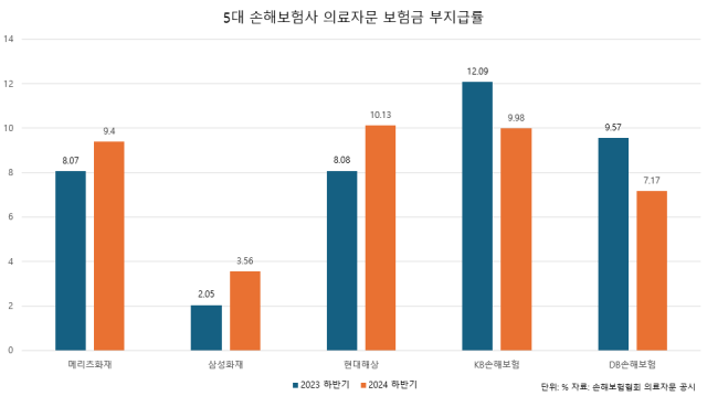 5대 손해보험사 의료자문 보험금 부지급률 통계 사진방예준 기자