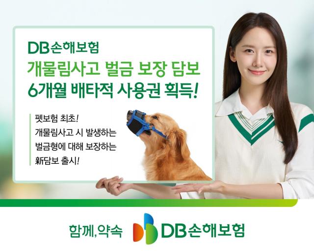 DB손해보험이 지난 4월 출시한 개물림 사고 벌금 보장 담보의 6개월 배타적 사용권을 획득했다 사진은 관련 포스터 사진DB손해보험